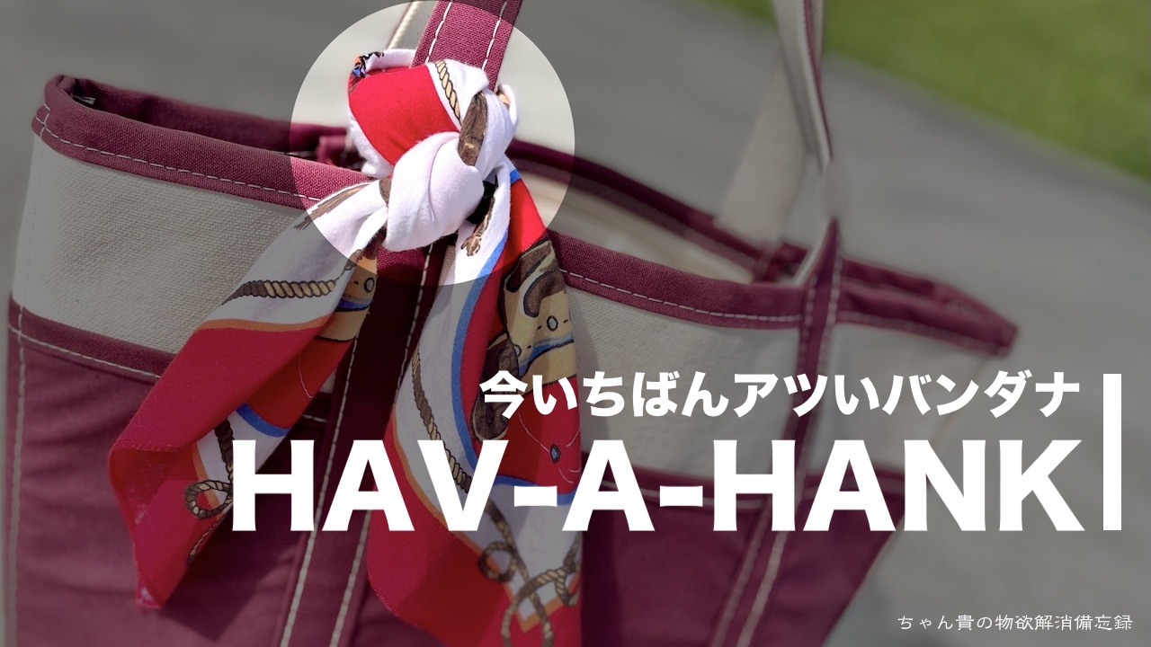 HAV-A-HANK バンダナ08